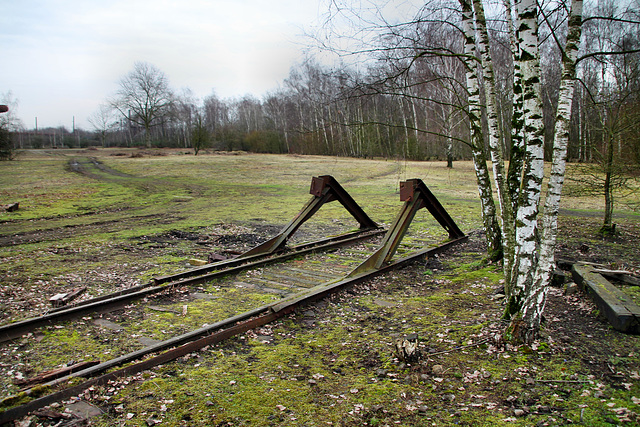 Zeche Friedrich Thyssen 4/8, altes Werksbahngleis mit Prellbock (Duisburg-Beeck) / 8.02.2020