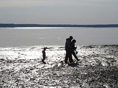 Hopewell Rocks, Bay of Fundy, New Brunswick