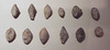 Lead Roman Sling Bullets in the Archaeological Museum of Madrid, October 2022