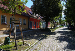 Im Baumschatten wohnen - Living in the shade of trees