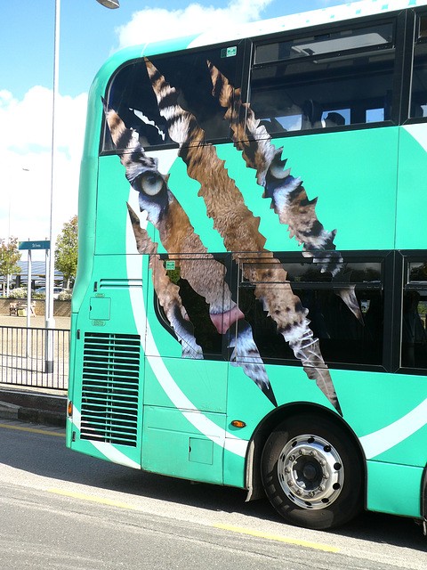 HBM: Stagecoach East 13912 (BU69 XYJ) at St. Ives - 9 Sep 2025 (P1220256)