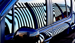 Zebra Car: Reflected Fence 1