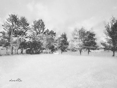 Winter in the park