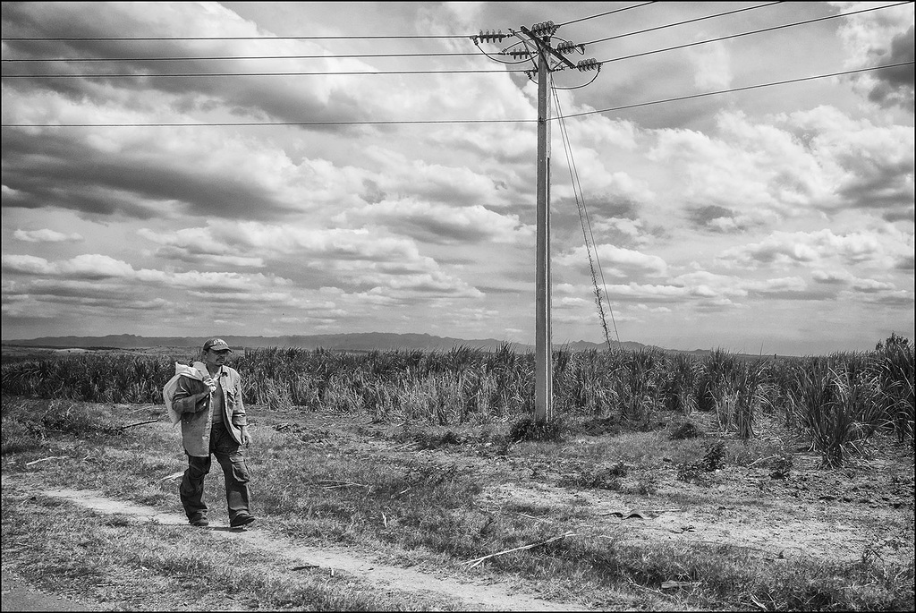 Sur le bord du chemin