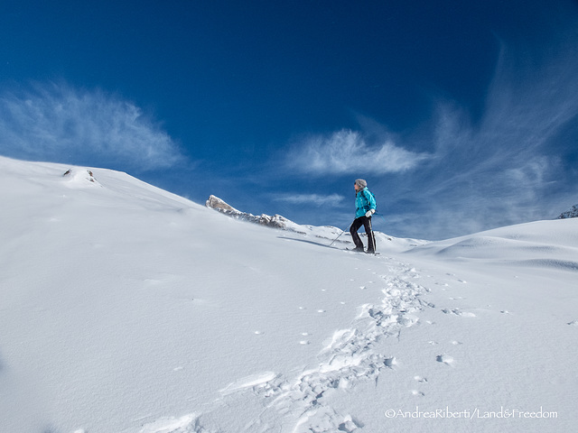 M - Alp Montagna