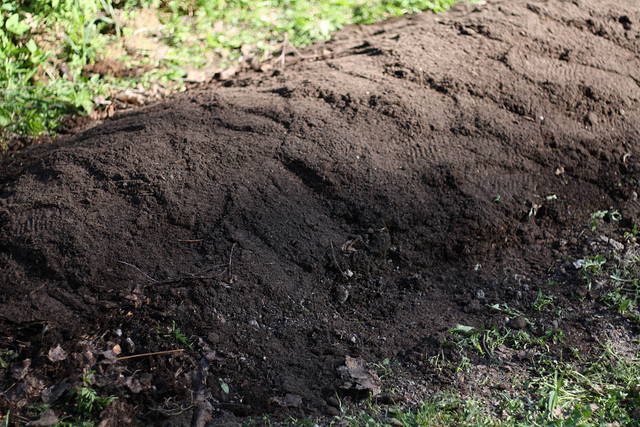 Small hügelkultur bed