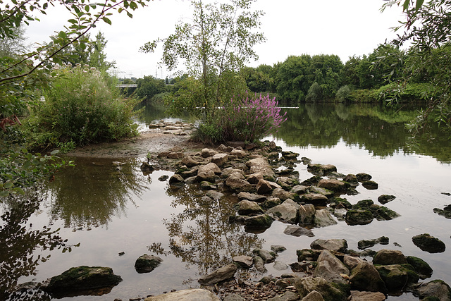 "Renaturierung" an der Wasserstraße