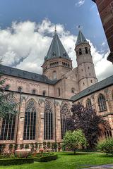 Mainzer Dom 15