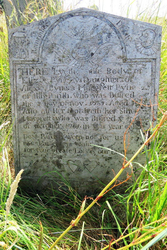 pelynt church, cornwall (8)