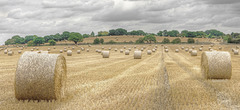 Cawder Hall Farm   /  Aug 2018