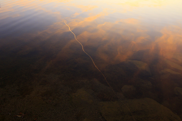 Sunset Reflections