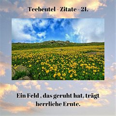 Teebeutel - Zitate - 21.