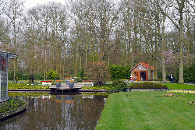 Blumen im Keukenhof