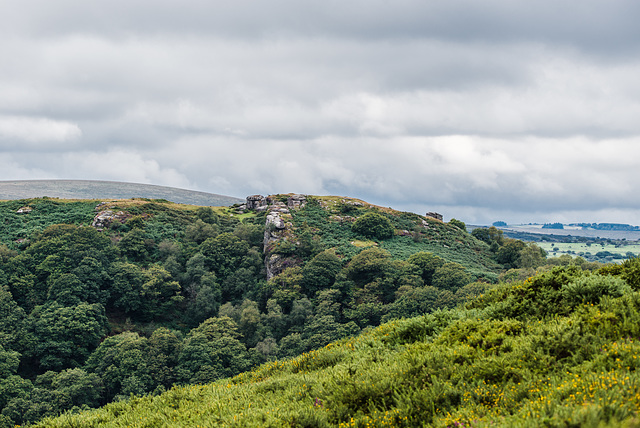 Dartmoor - 20150831