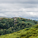 Dartmoor - 20150831