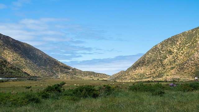 Neuseeland - Wainuiomata