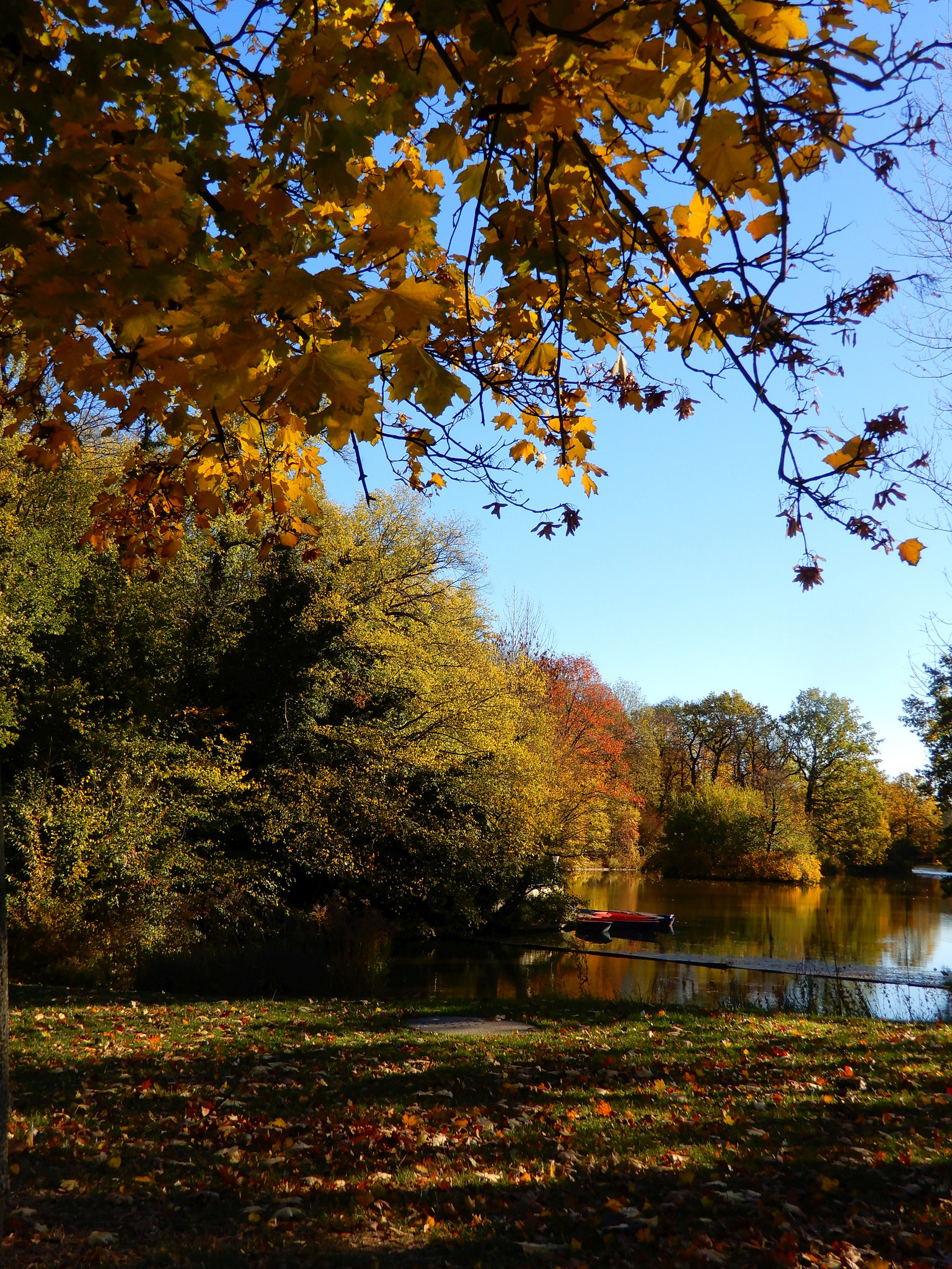 Herbst in Dresdens Großem Garten 02