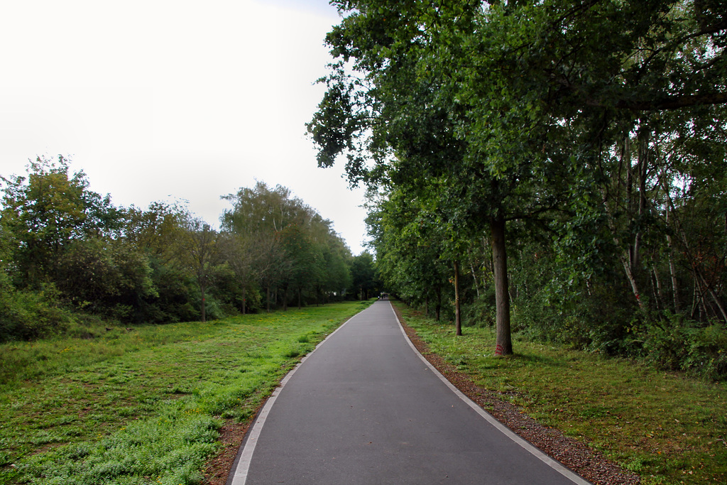 Radweg "Grüner Pfad" (Duisburg-Neumühl) / 6.09.2020