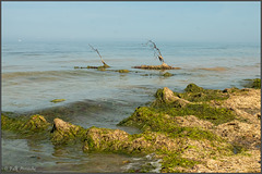 Strand bei Warnkenhagen
