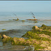 Strand bei Warnkenhagen