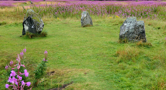 Port Elphinstone - Broomend of Crichie