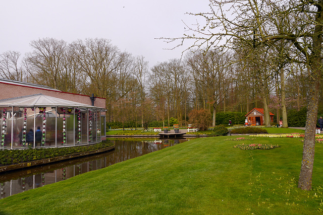 Blumen im Keukenhof