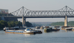 Carol Bridge, Cernavoda