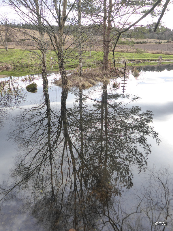 Reflections