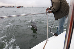 Namibia-0234 Namibia-0234