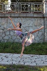 Viola (8)