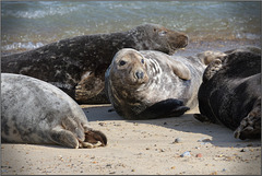 For the family album!