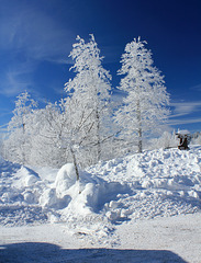 Wintermärchen auf dem Feldberg