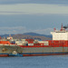 An Auckland Harbour Evening (5) - 22 February 2015