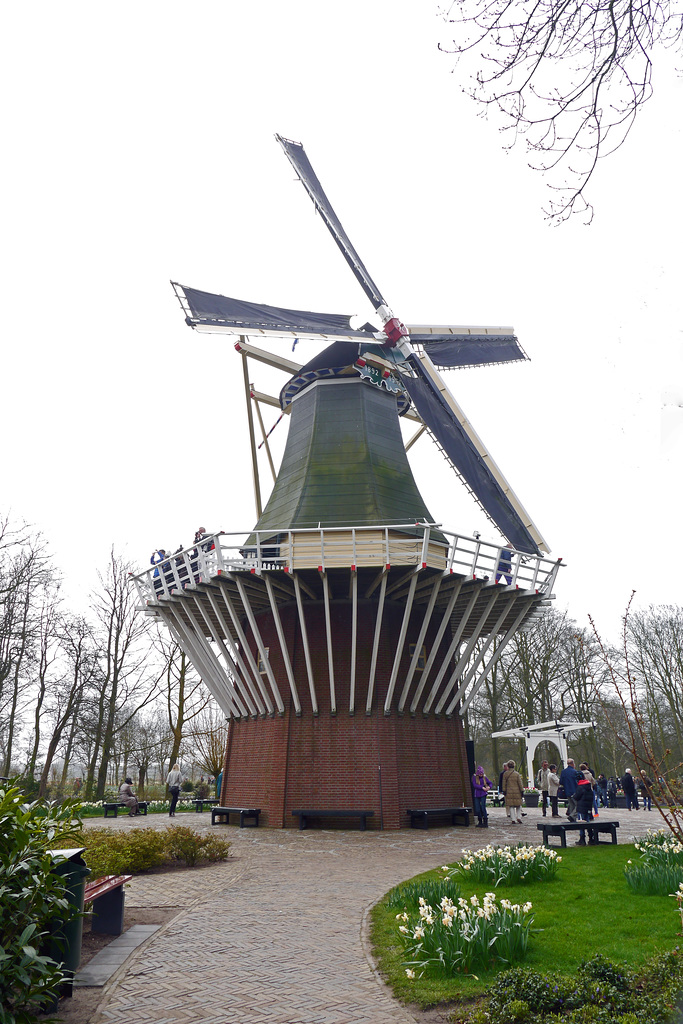 Mühle im Keukenhof