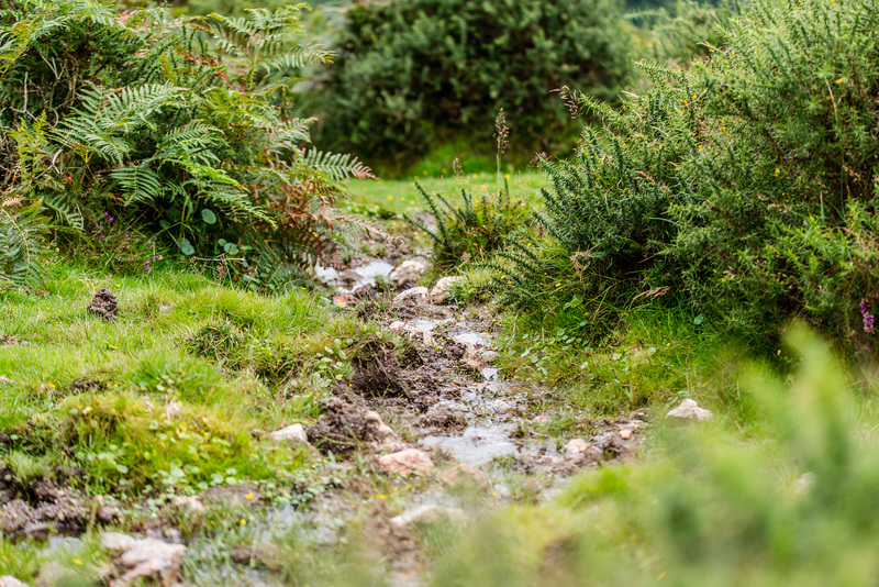 Dartmoor - 20150831