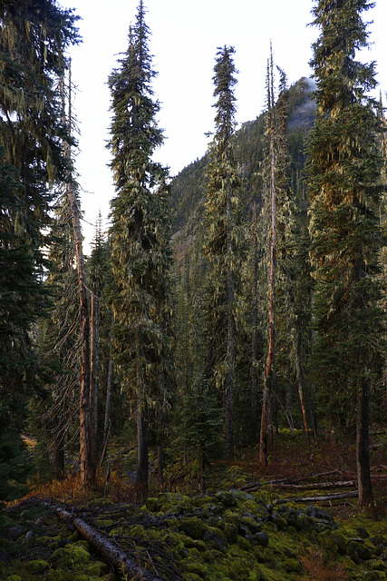 Park Butte Trail