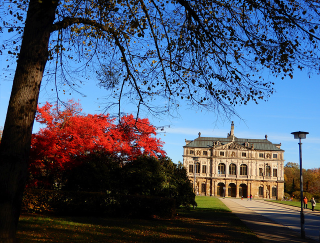 Herbst in Dresdens Großem Garten 04