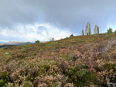 The Fyrish Monumnet atop the hill