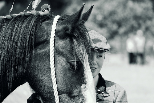 Mono Cranleigh Show 2016 XPro2 50-230mm countrywoman 1