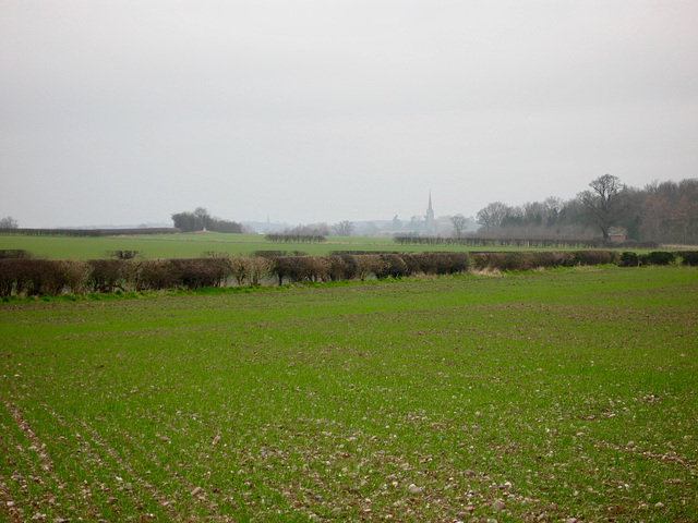 Looking towards the Church of St Andrew at Clifton Campville