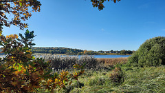 Sonntagsspaziergang in Neukloster