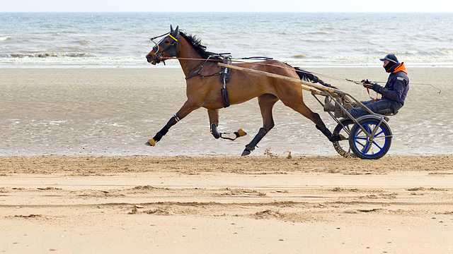 Utah Beach, Normandy