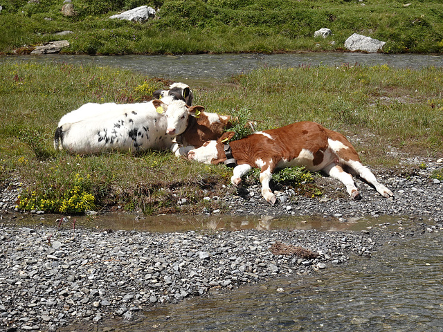 Relaxen in den Bergen