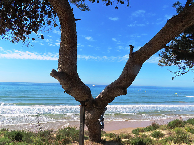 Salou (Tarragona), 52