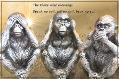 Die drei weisen Affen.