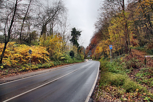 B226 Wetterstraße (Witten) / 26.11.2023