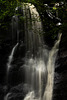 Life flow / Flux de la vie