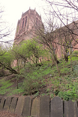 liverpool cathedral