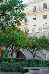 Lonja de la Seda / Llotja de la Seda - Seidenbörse - Valencia  (© Buelipix)