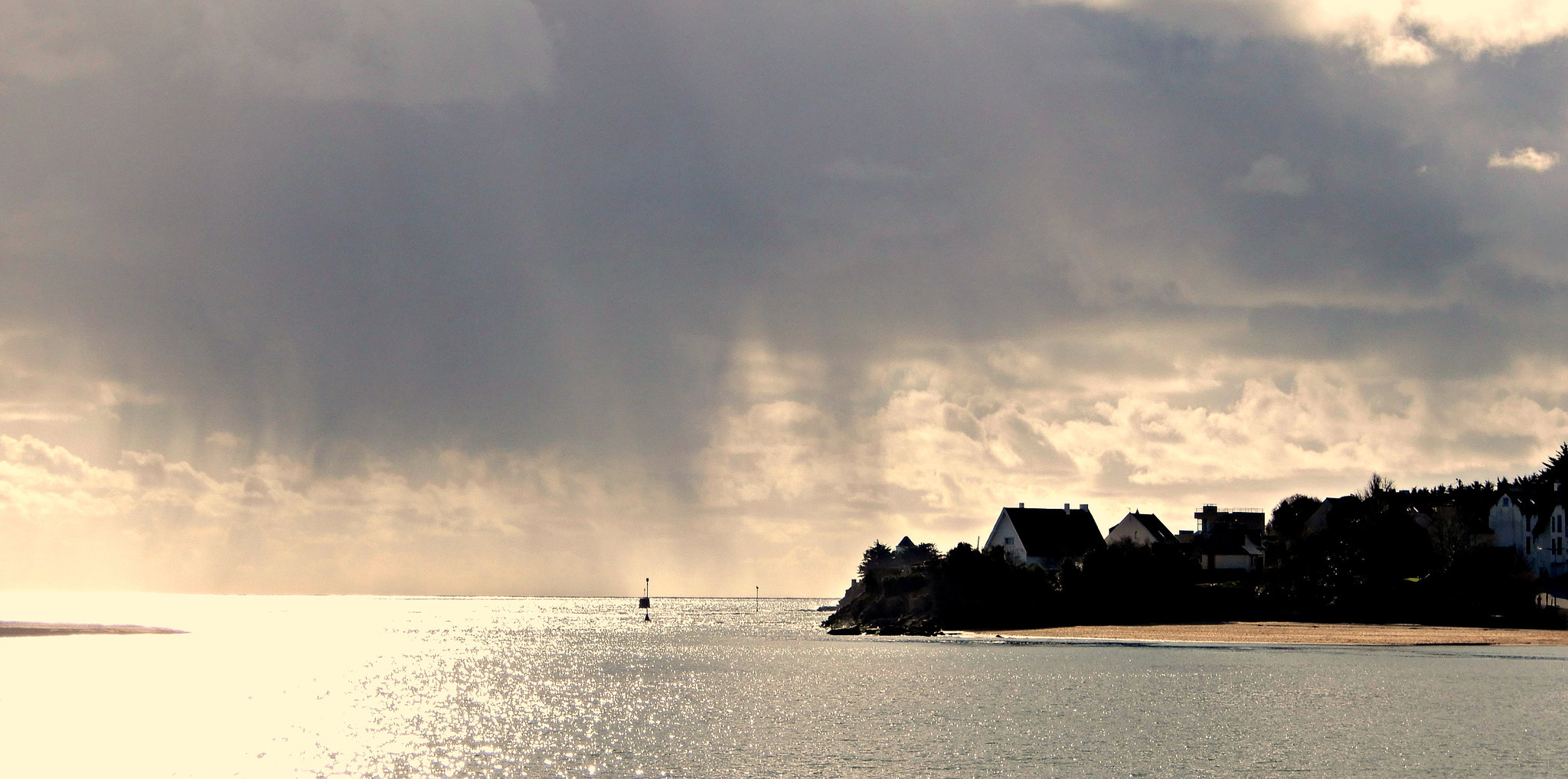 entre les grains
